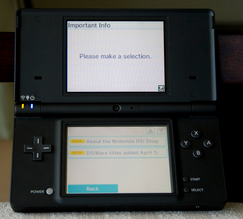 Illustration for article titled Nintendo DSi Review